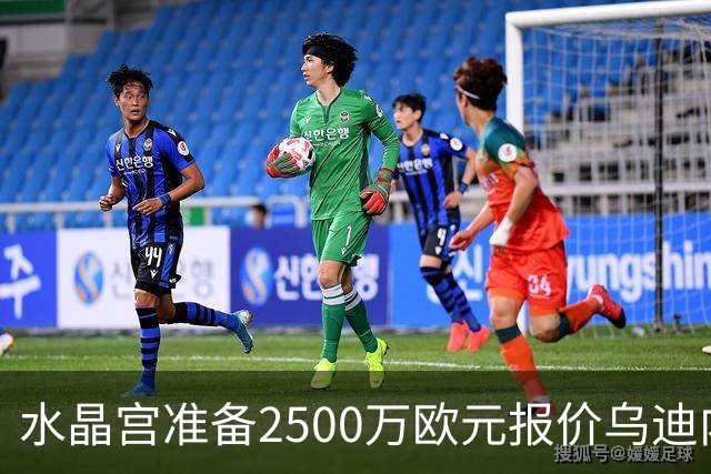 水晶宫准备2500万欧元报价乌迪内斯中卫索莱，球员或无缘明日对阵蒙扎